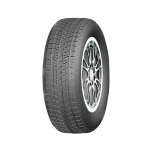 high performance winter tires Bluesnow 05
